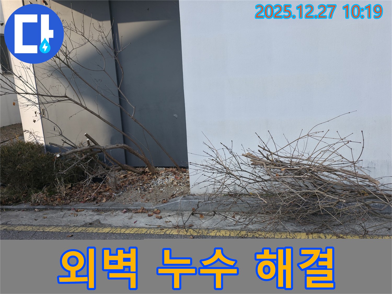 외벽 주변 나뭇가지 - 누수 해결 시작점