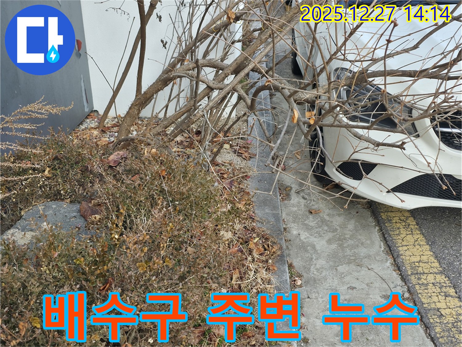 주차장 배수구 주변 누수 - 신속한 탐지와 꼼꼼한 보수로 누수 문제를 해결하고 안전까지 확보!