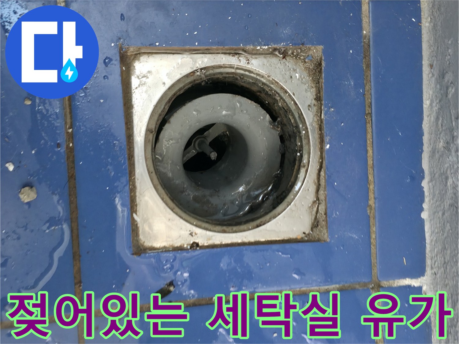 배수구 주변 타일 틈새에 고여 있는 물기