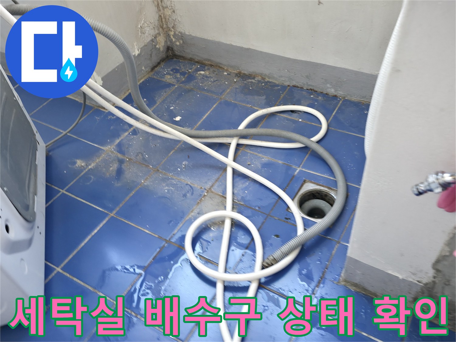 성동구 아파트 세탁실-배수구 주변의 습한 바닥 모습