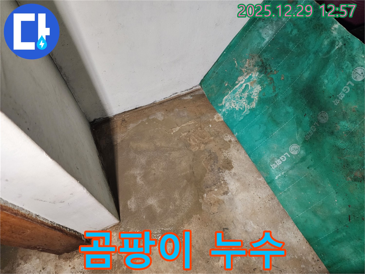 상계2동 누수 - 누수 부위 곰팡이, 건강 위협