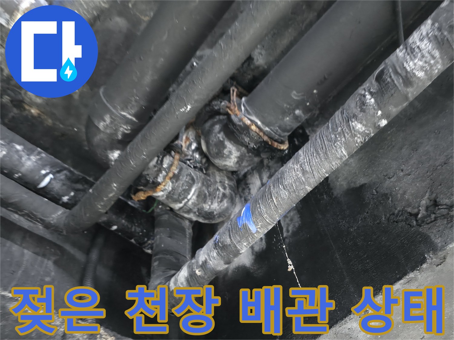 물샘 흔적이 역력한-지하 천장 배관과 콘크리트 벽면