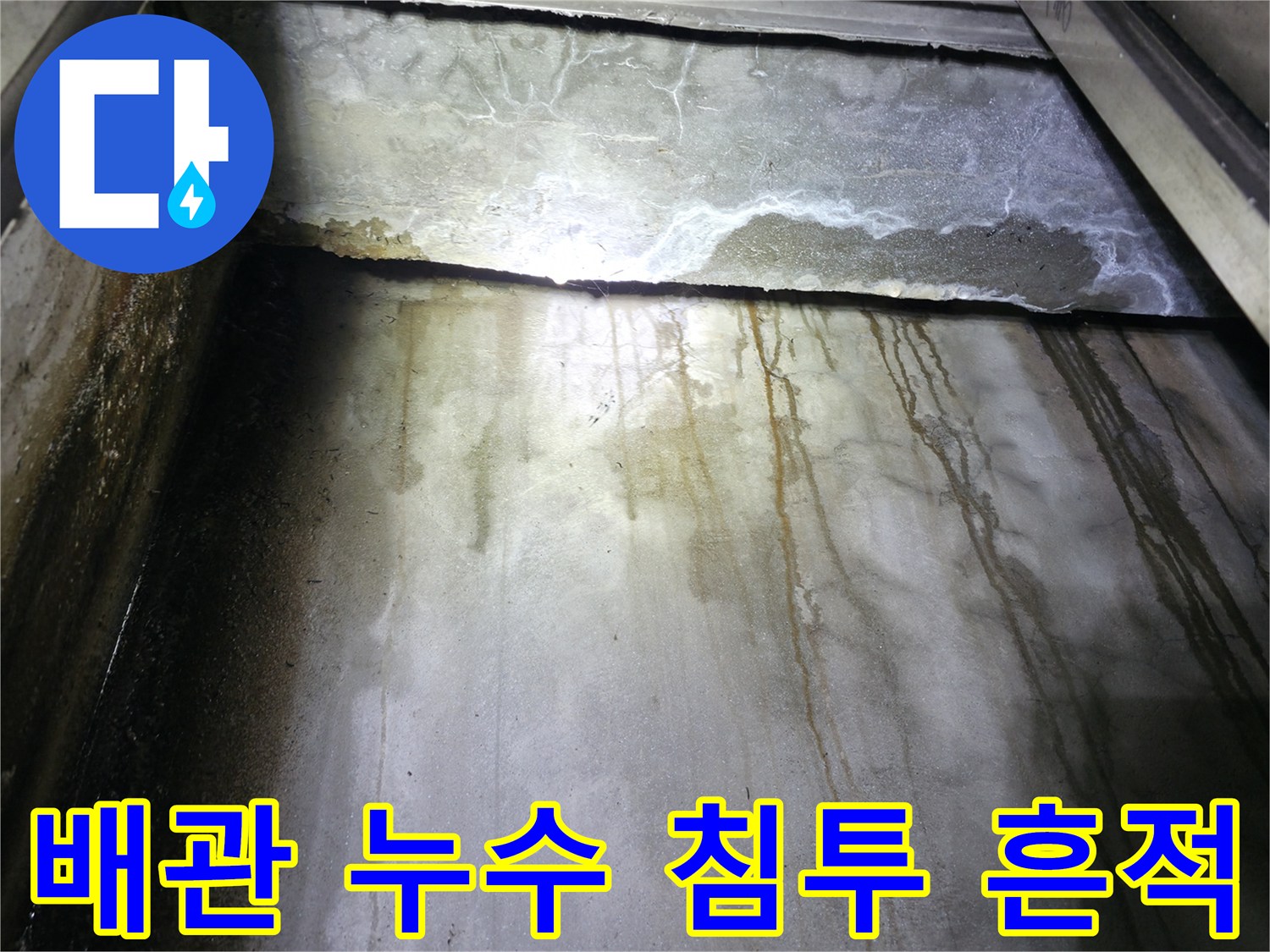 습기가 가득 찬 지하층 천장 구조물의 물샘 자국