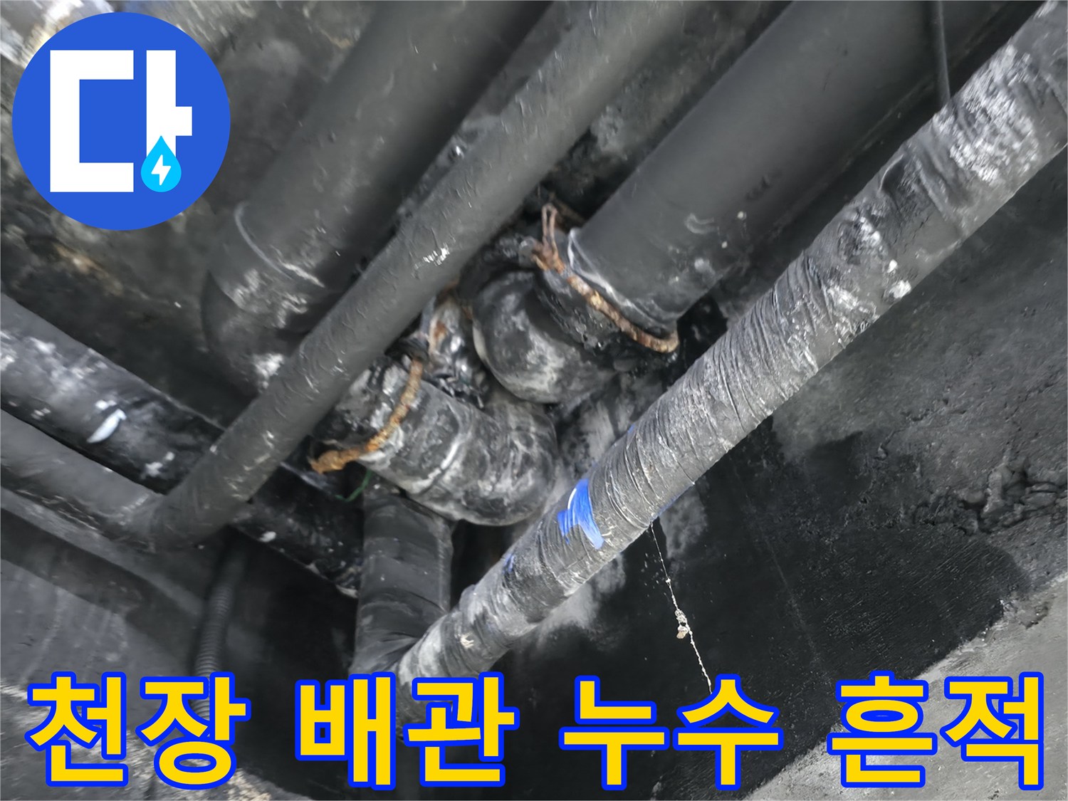 축축하게 젖은-지하층 천장 배관과 콘크리트 벽면