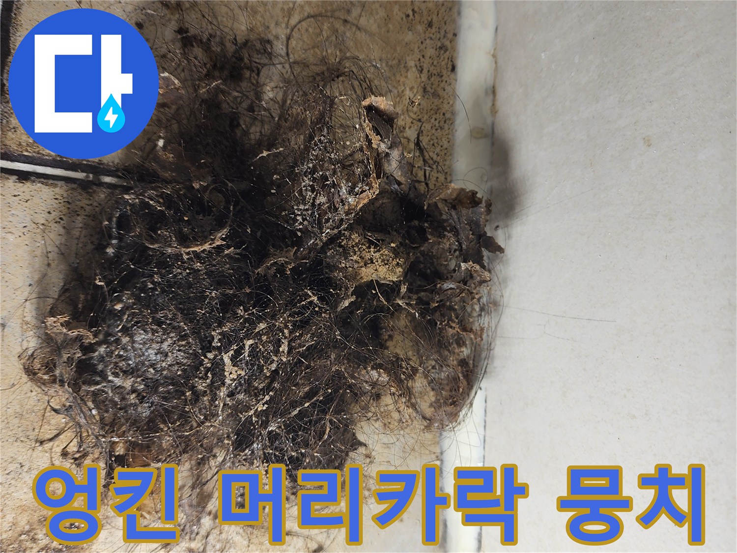 배수구-주변의-심한-머리카락-및-이물질-퇴적