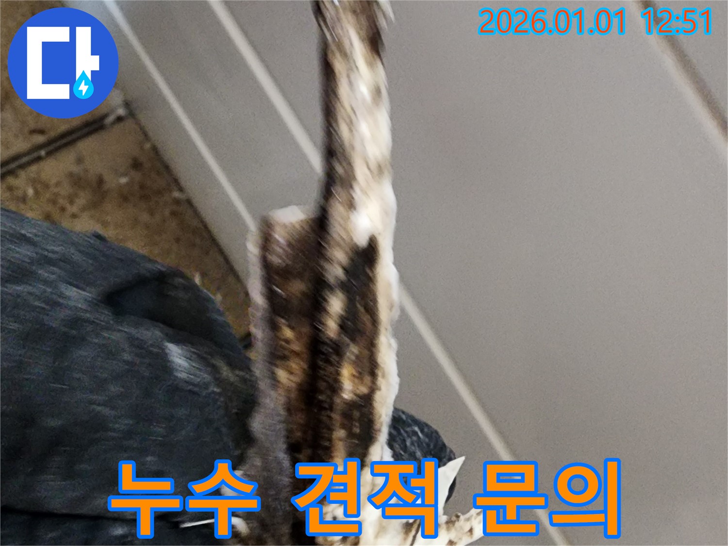 일산 누수 현장 - 낡은 배관으로 인한 누수 문제에 대한 합리적인 견적을 제공합니다.