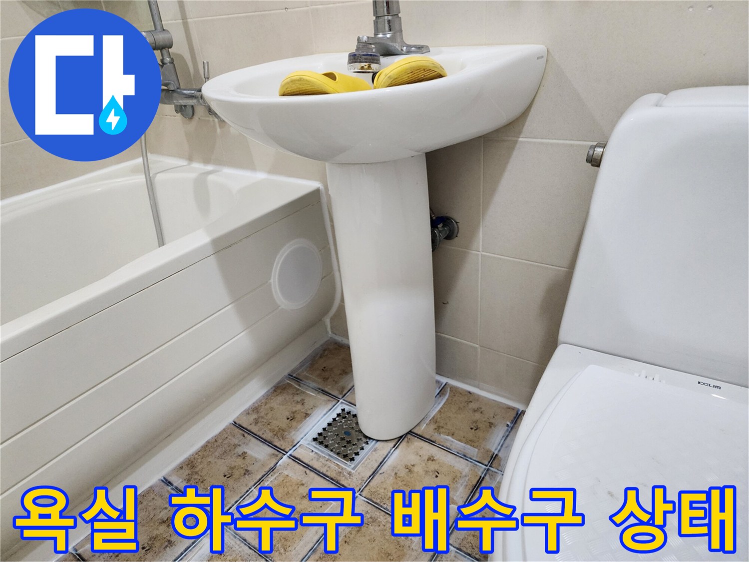 일산동구-화장실-배수구-주변-점검