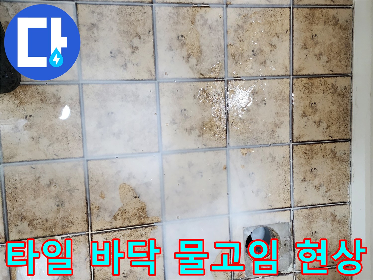 일산동구 화장실-배수구 주변 타일 변색 및 물 고임