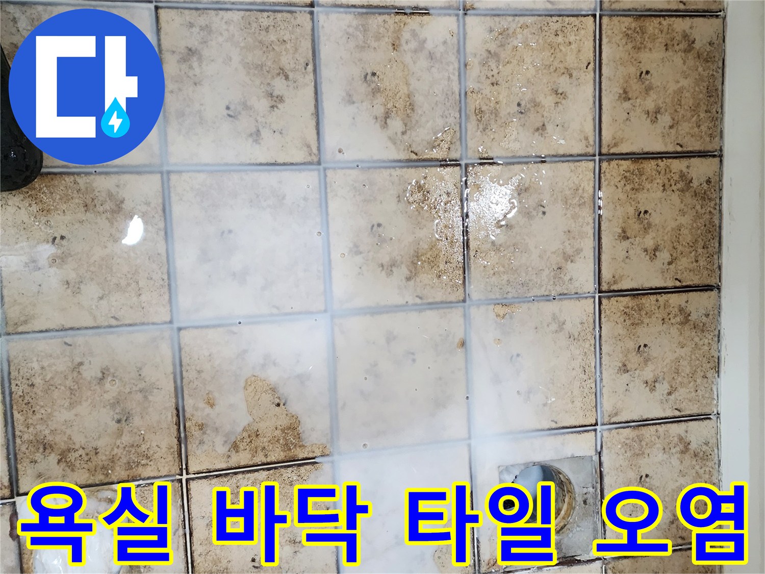 일산동구 화장실-배수구 주변의 물 고임 및 변색 상태