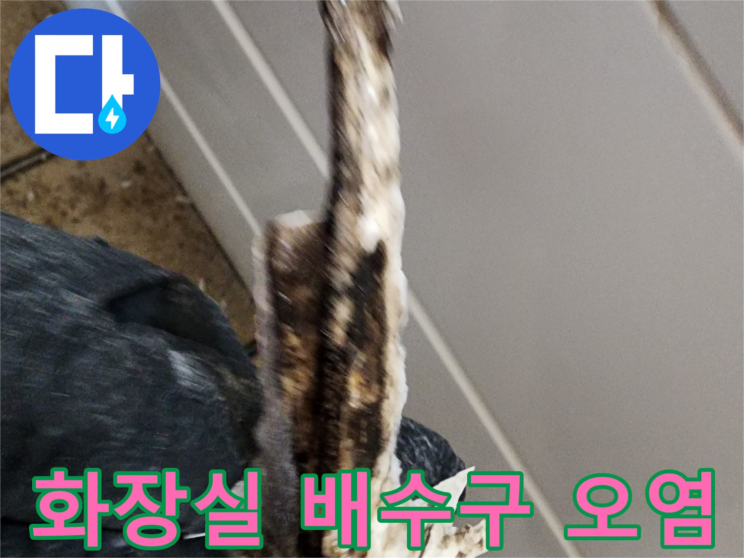 일산동구 화장실-배수구 주변의 이물질과 오염 상태를 촬영한 사진입니다.