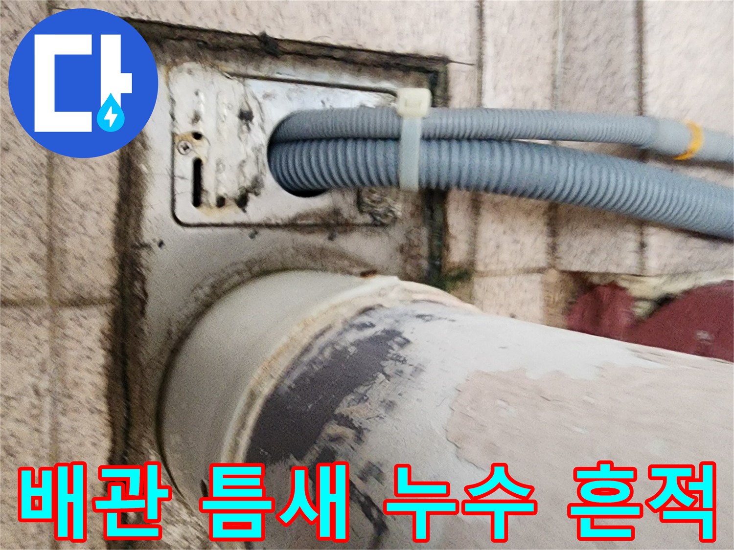 물샘이 의심되는 배수구 유가 주변의 습한 상태