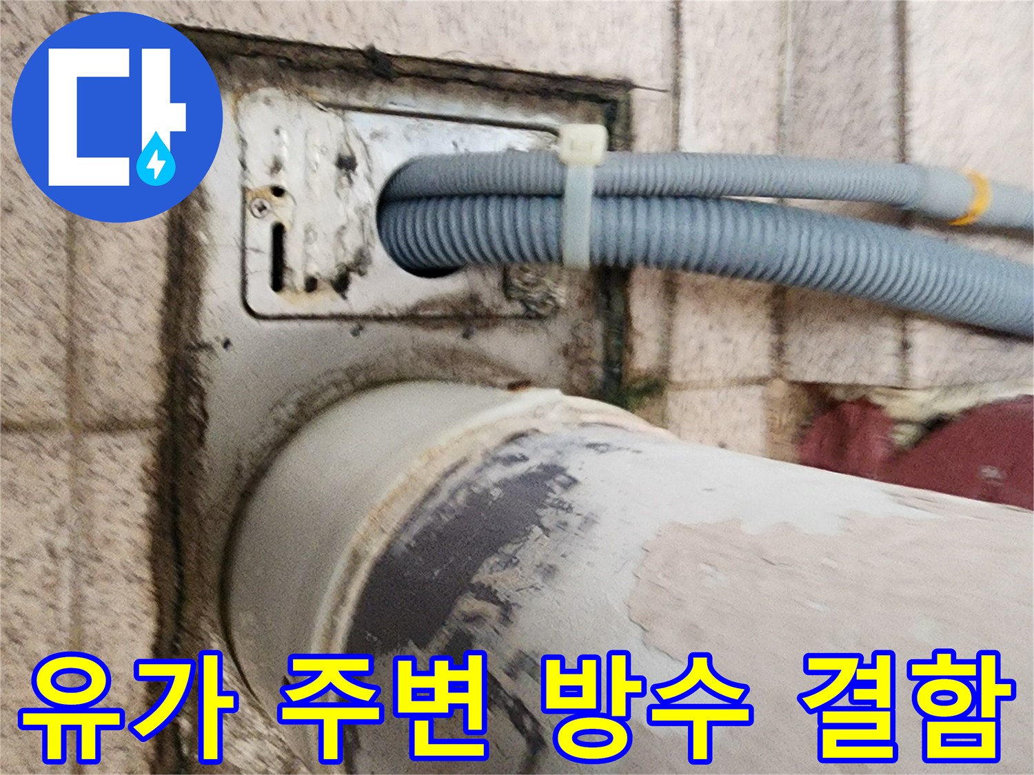 물에 젖어 변색된 배수구 유가 주변 타일