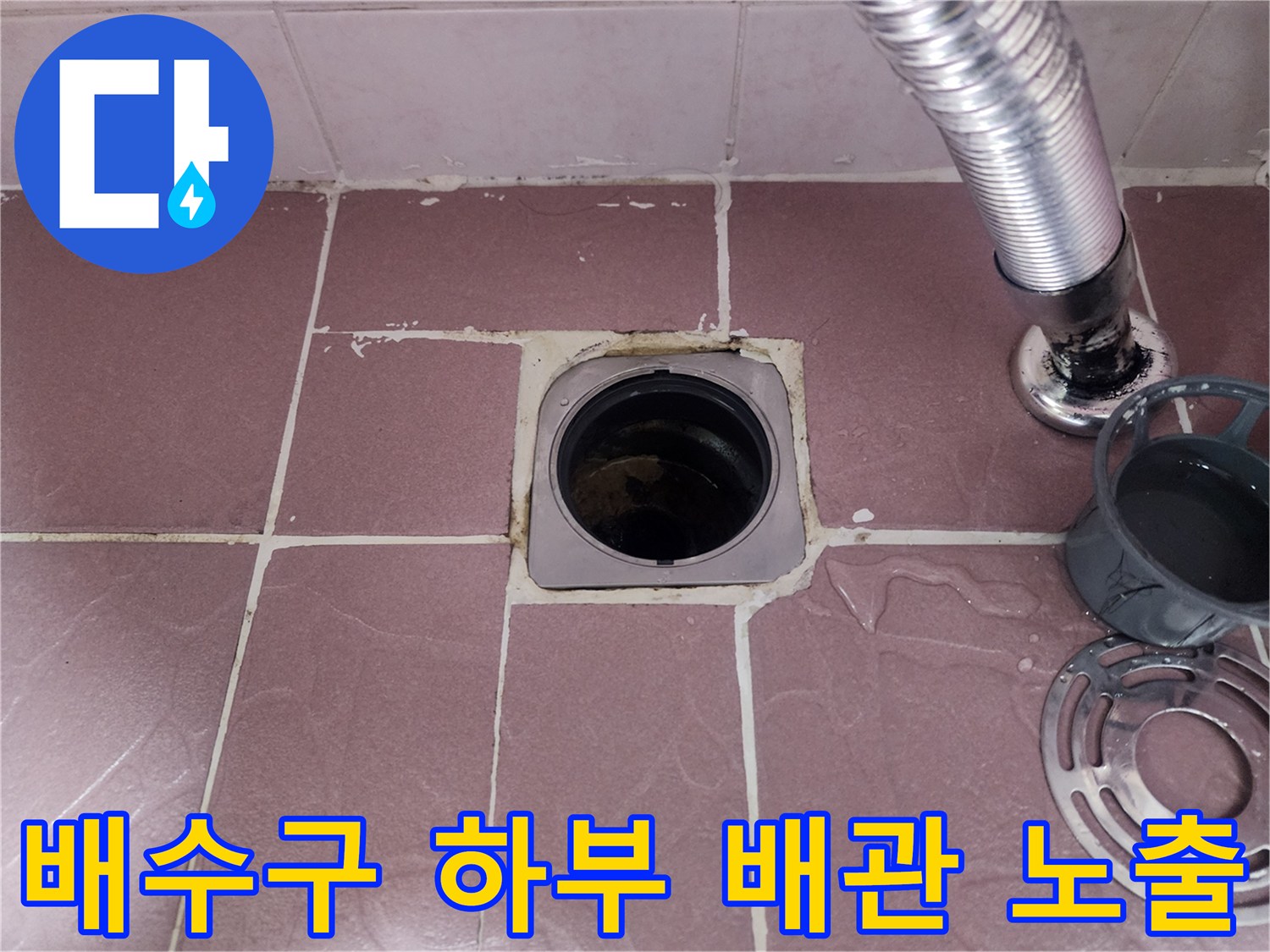 배수구-유가-제거-후-드러난-하수관-주변-상태
