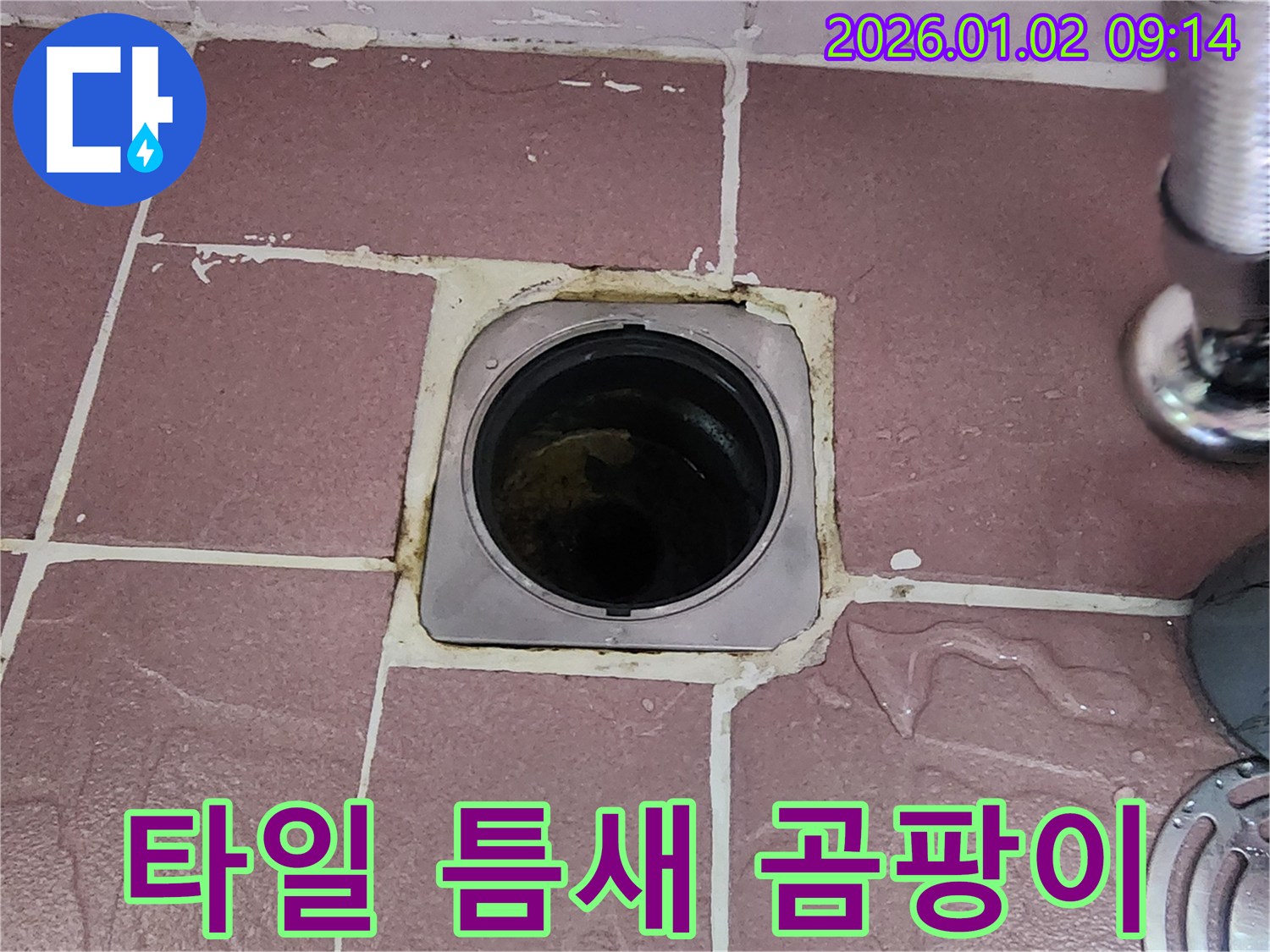 상계9동 욕실 배수구 - 타일 틈새 오염 및 곰팡이 발생