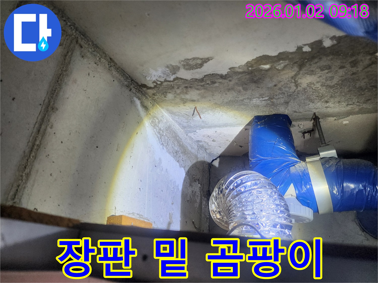 상계9동 장판 밑 곰팡이 - 습기 문제 해결
