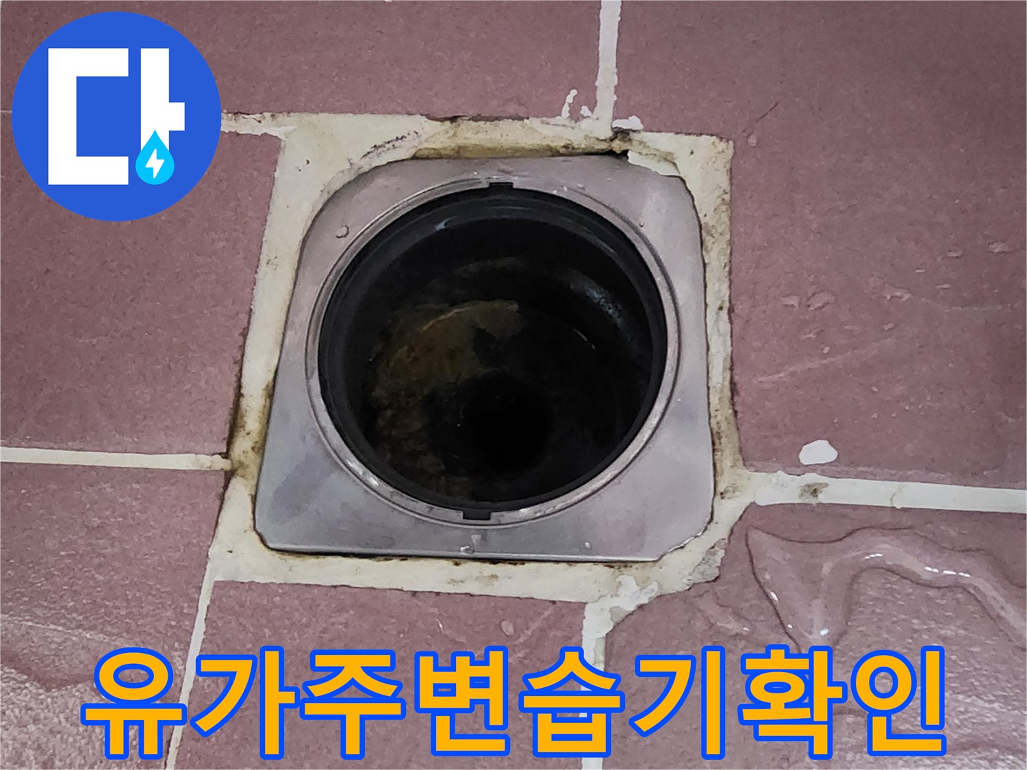 상계동-배수구-유가-주변-타일-틈새-및-누수-징후