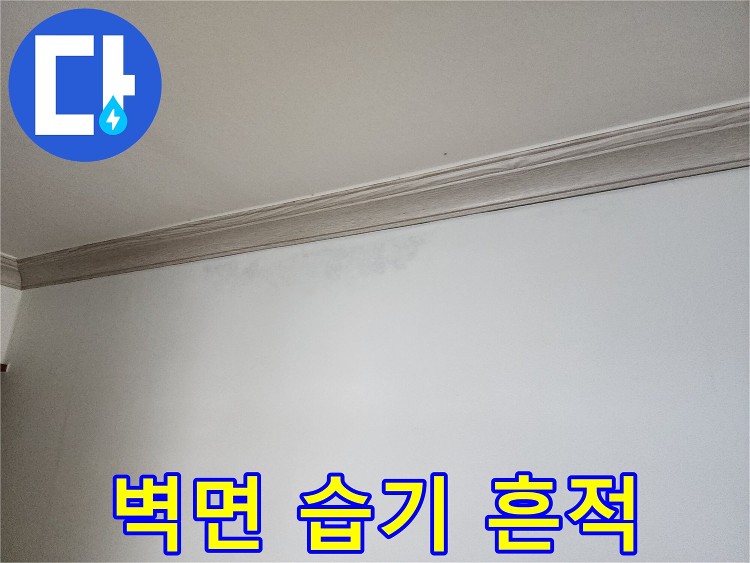 상계동 현장-천장 몰딩 하단부의 습기 침투 흔적