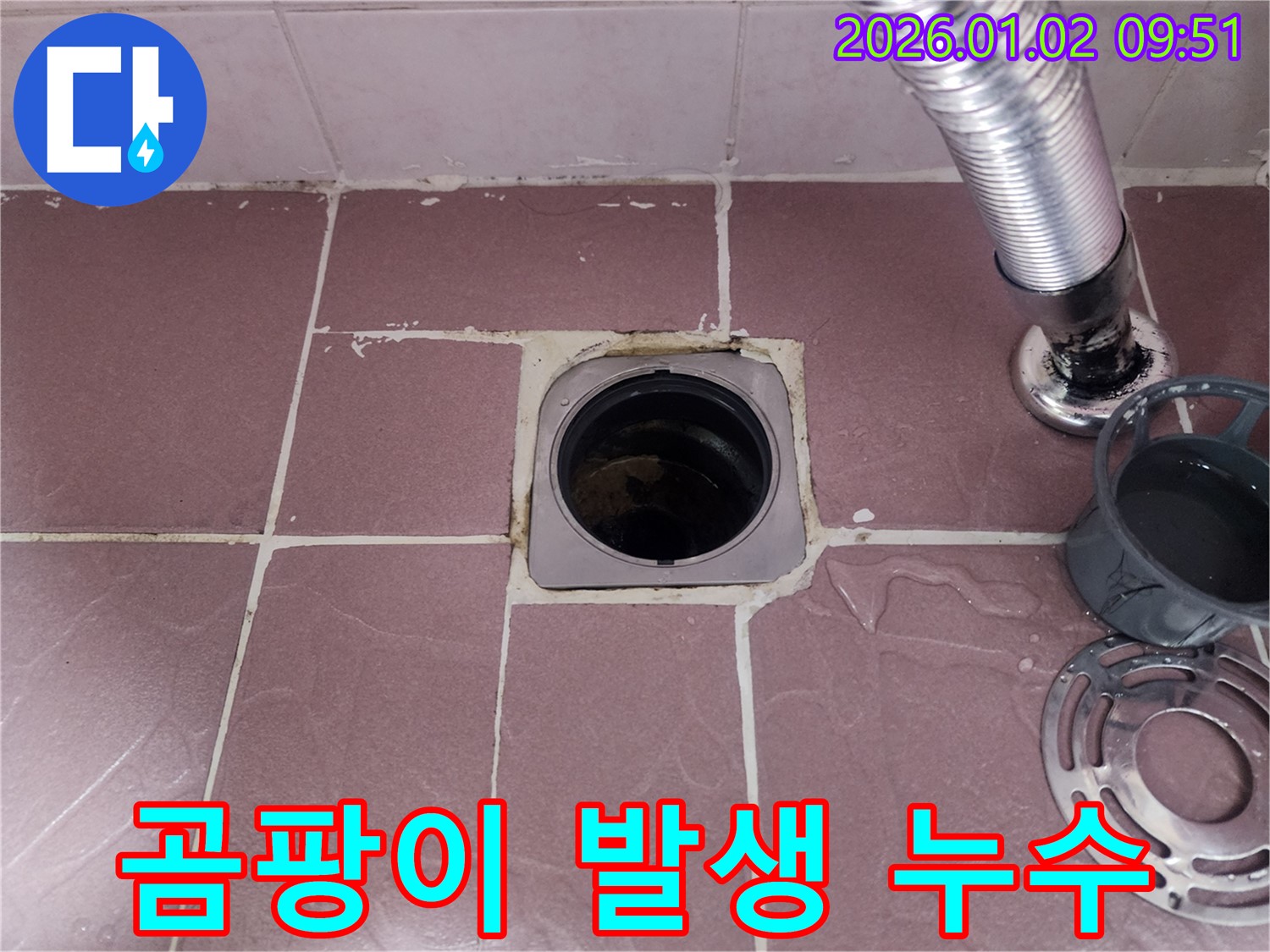 욕실 배수구 주변 곰팡이 - 누수로 인해 곰팡이가 발생할 수 있음을 보여주는 사진입니다.