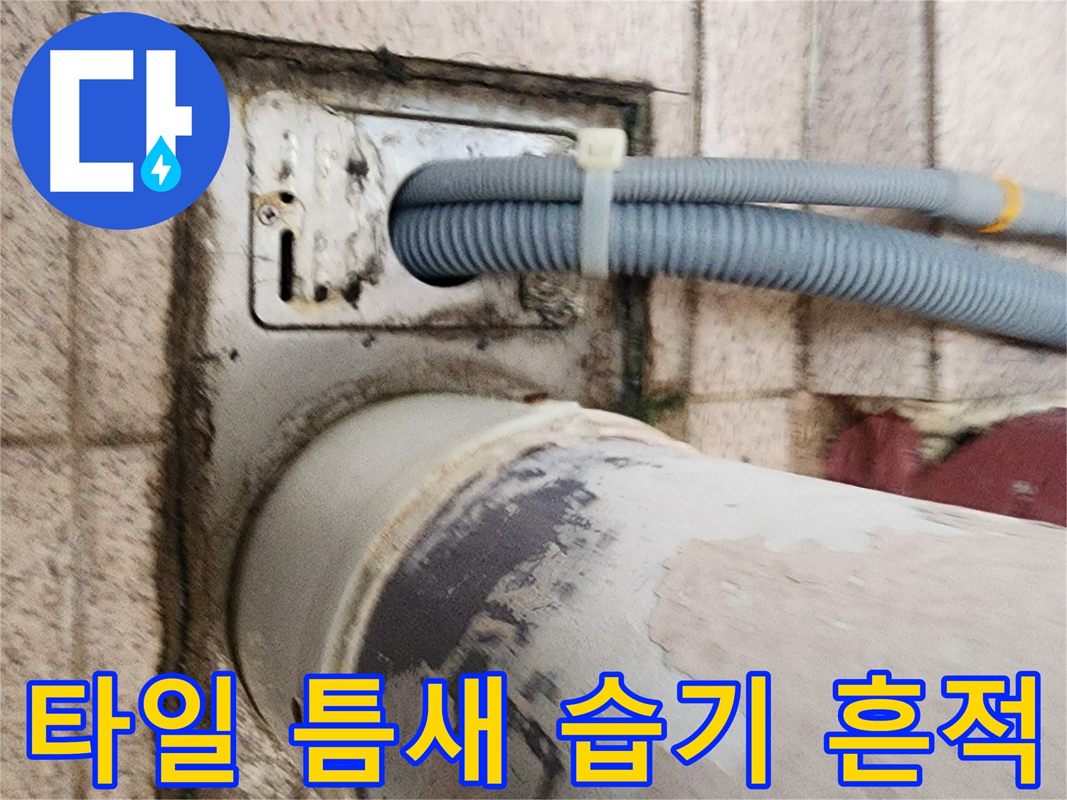 유가 주변 타일-습기로 인한 변색 및 오염 상태