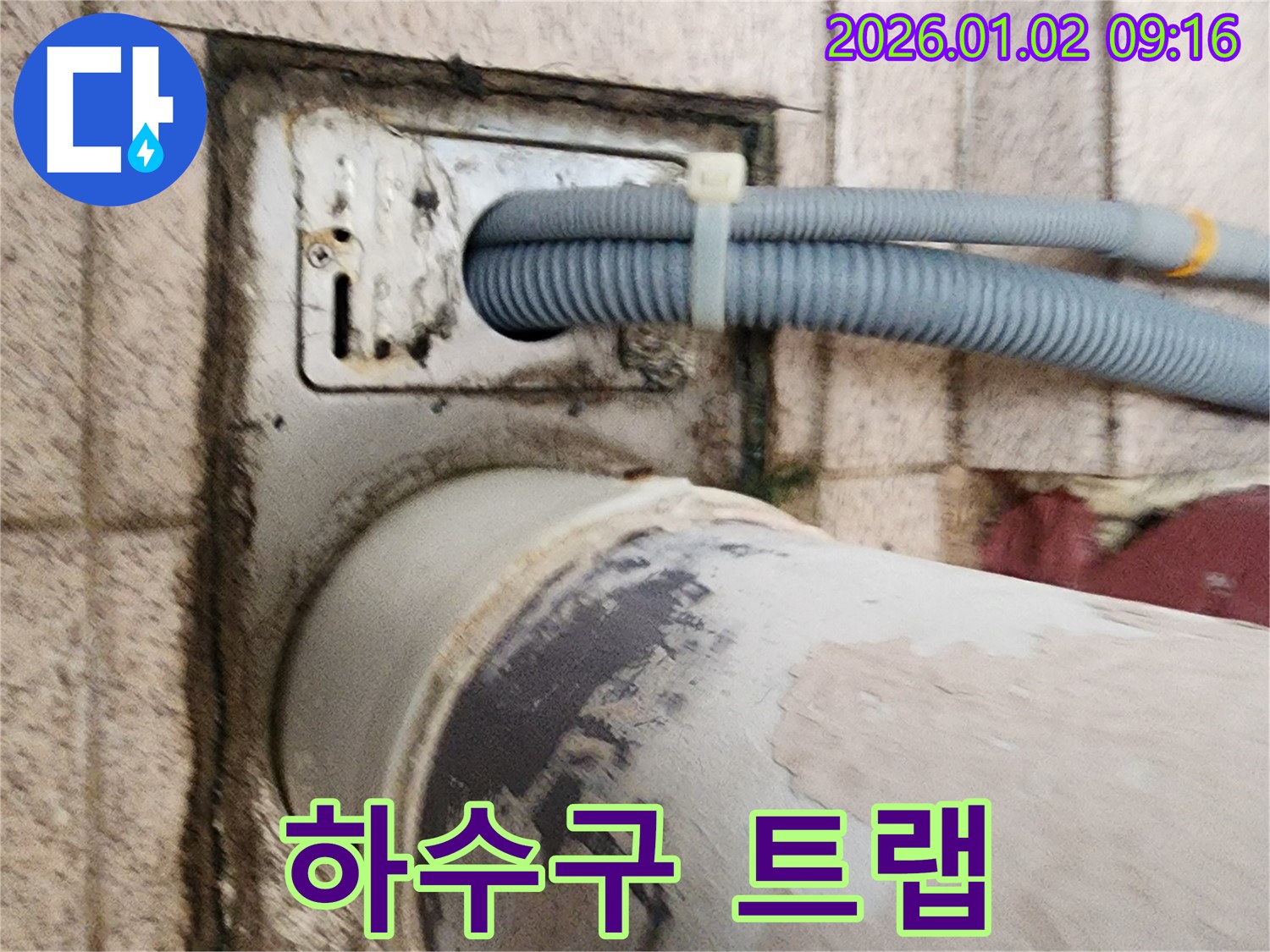 하수구 트랩 미설치 - 하수구에 트랩이 설치되어 있지 않아 냄새가 올라오고 있습니다.