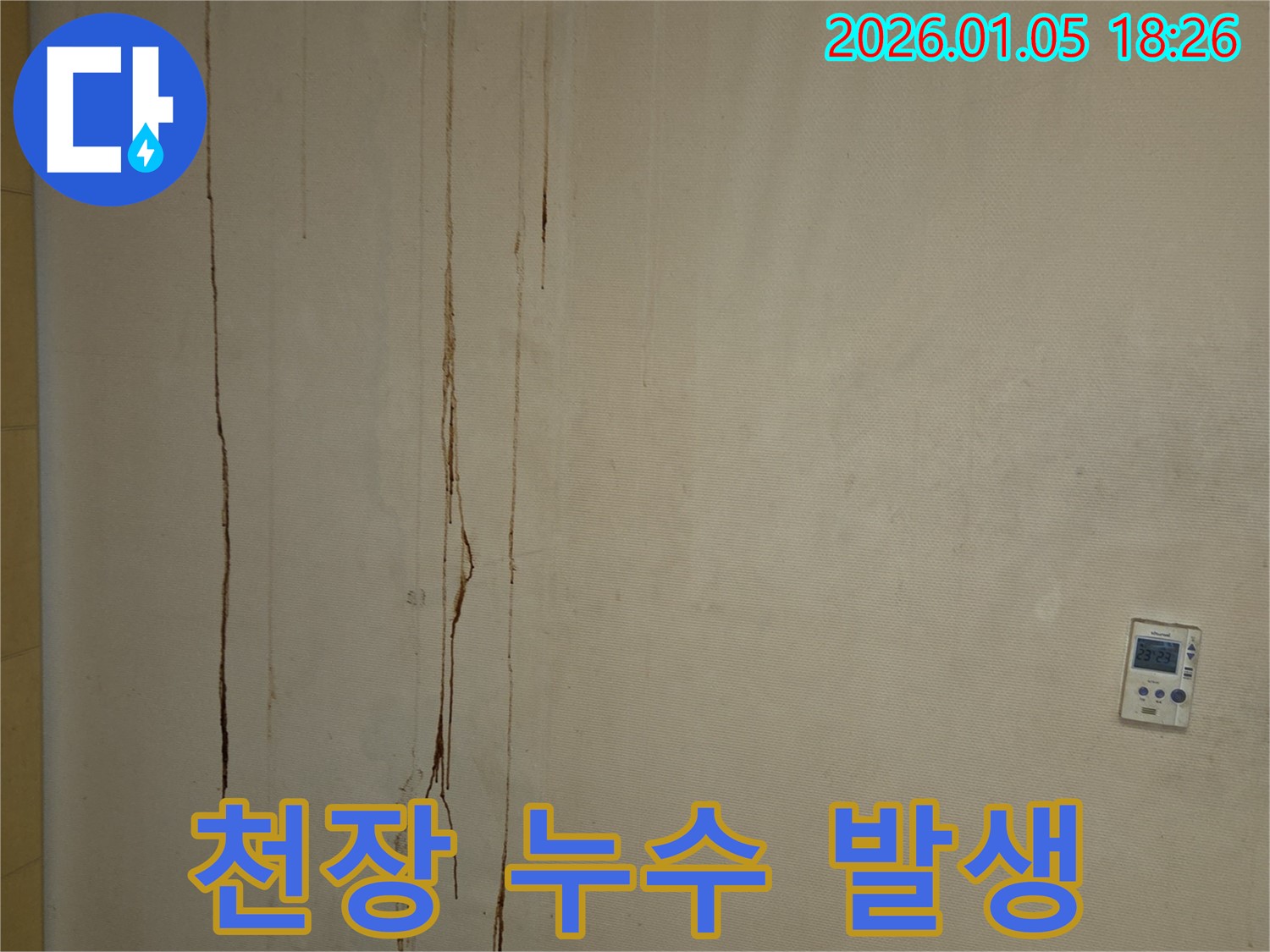 남양주 사릉리 천장 누수 - 누수 발생 지점 집중 확인