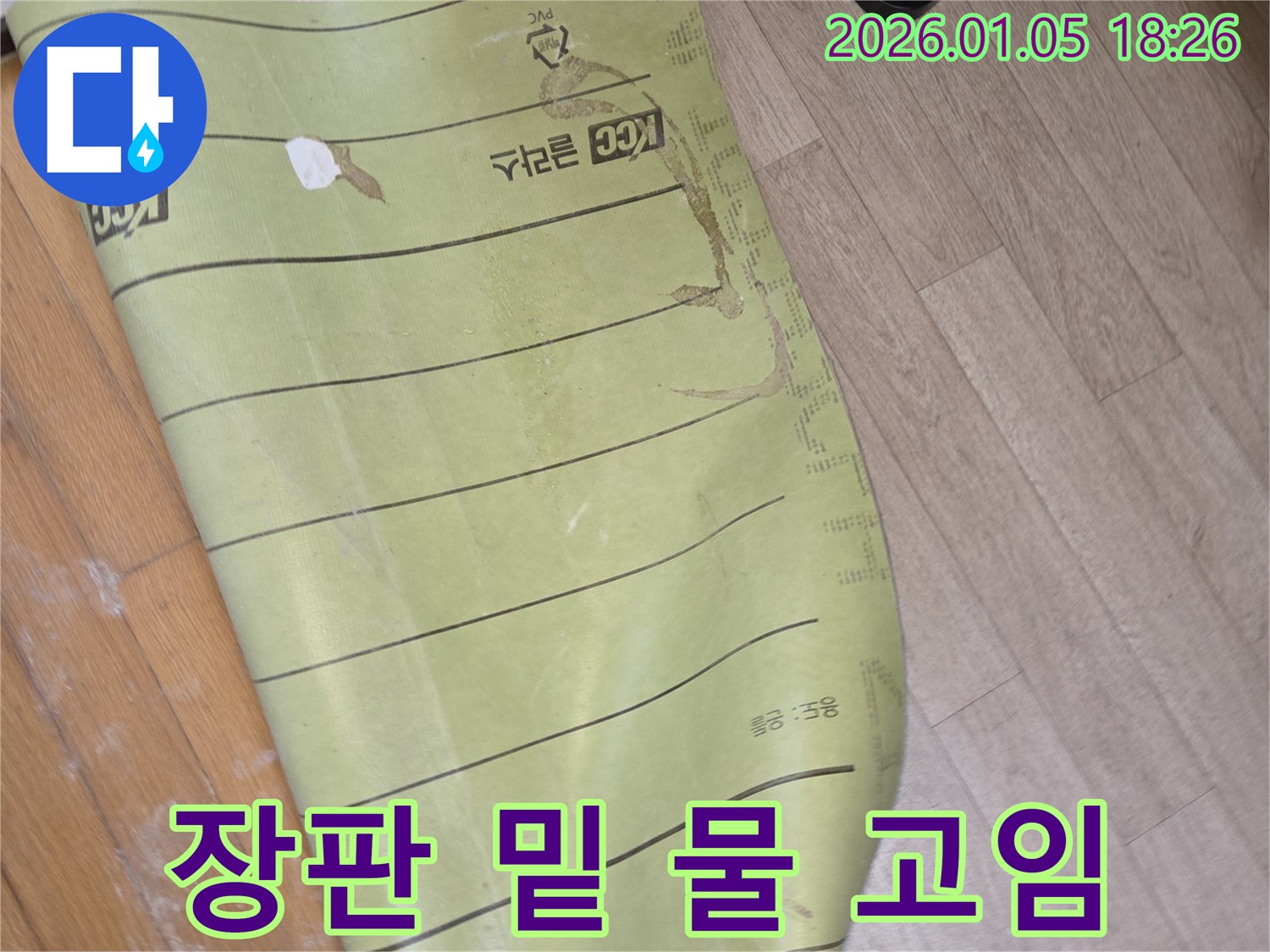 남양주 진건읍 누수 현장 - 장판 밑 물 고임은 긴급 점검이 필요한 상황입니다. 즉시 연락 주세요.