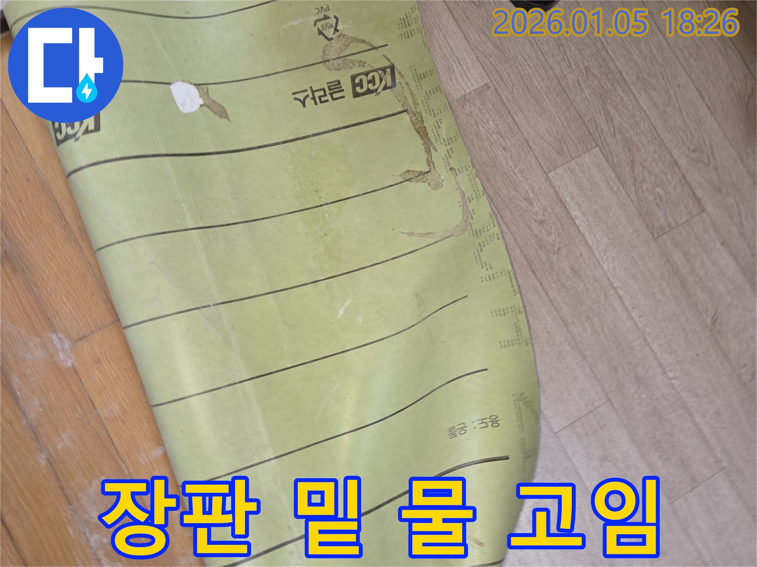 남양주 진건읍 누수 현장 - 장판 밑 물 고임은 긴급 점검이 필요한 상황입니다. 즉시 연락 주세요.