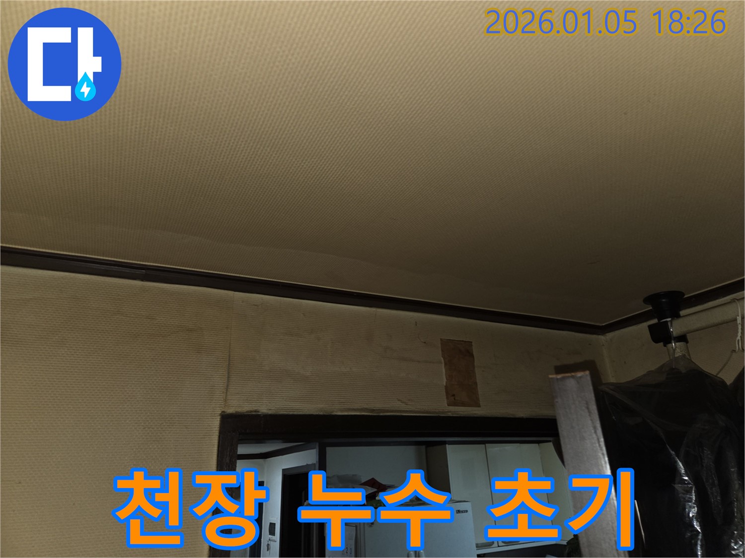 진건읍 사릉리 천장 누수 - 누수 초기 단계 진단 및 전문가 상담 진행