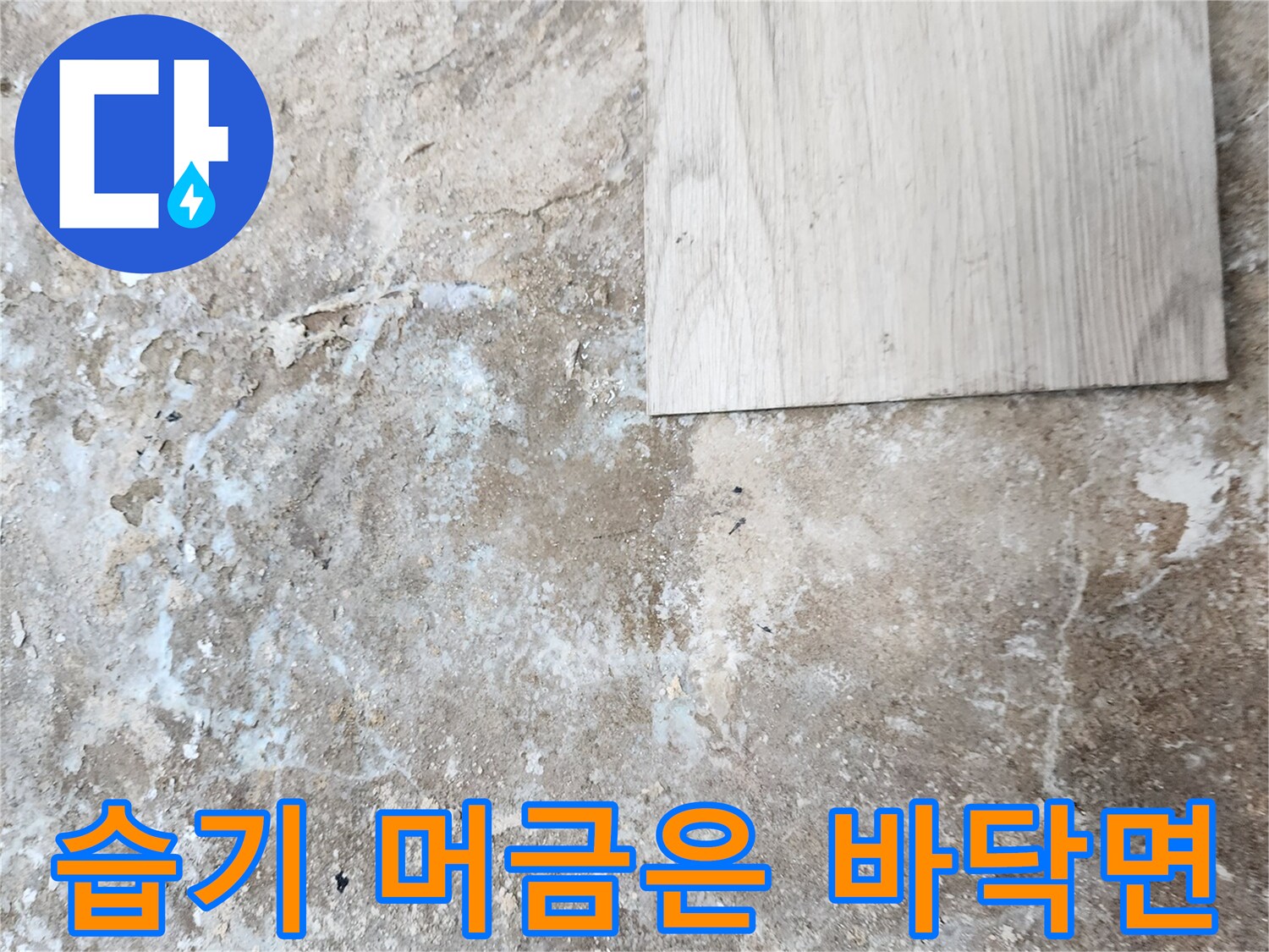 물기가 배어 나온 콘크리트 바닥 - 누수 지점 확인 중