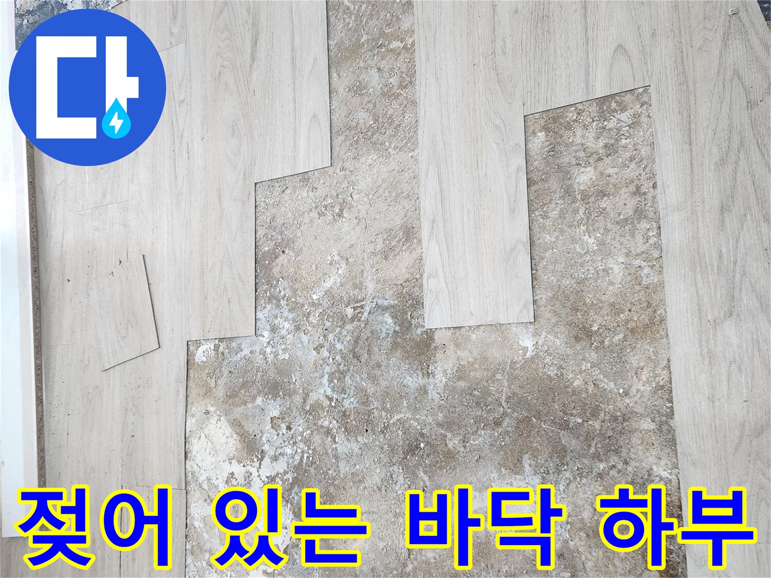 물샘으로 인해 습기가 침투한 마루 아래쪽 면