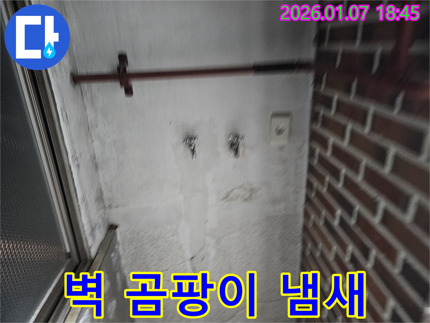 벽에 곰팡이 냄새 - 누수 의심, 점검 필수