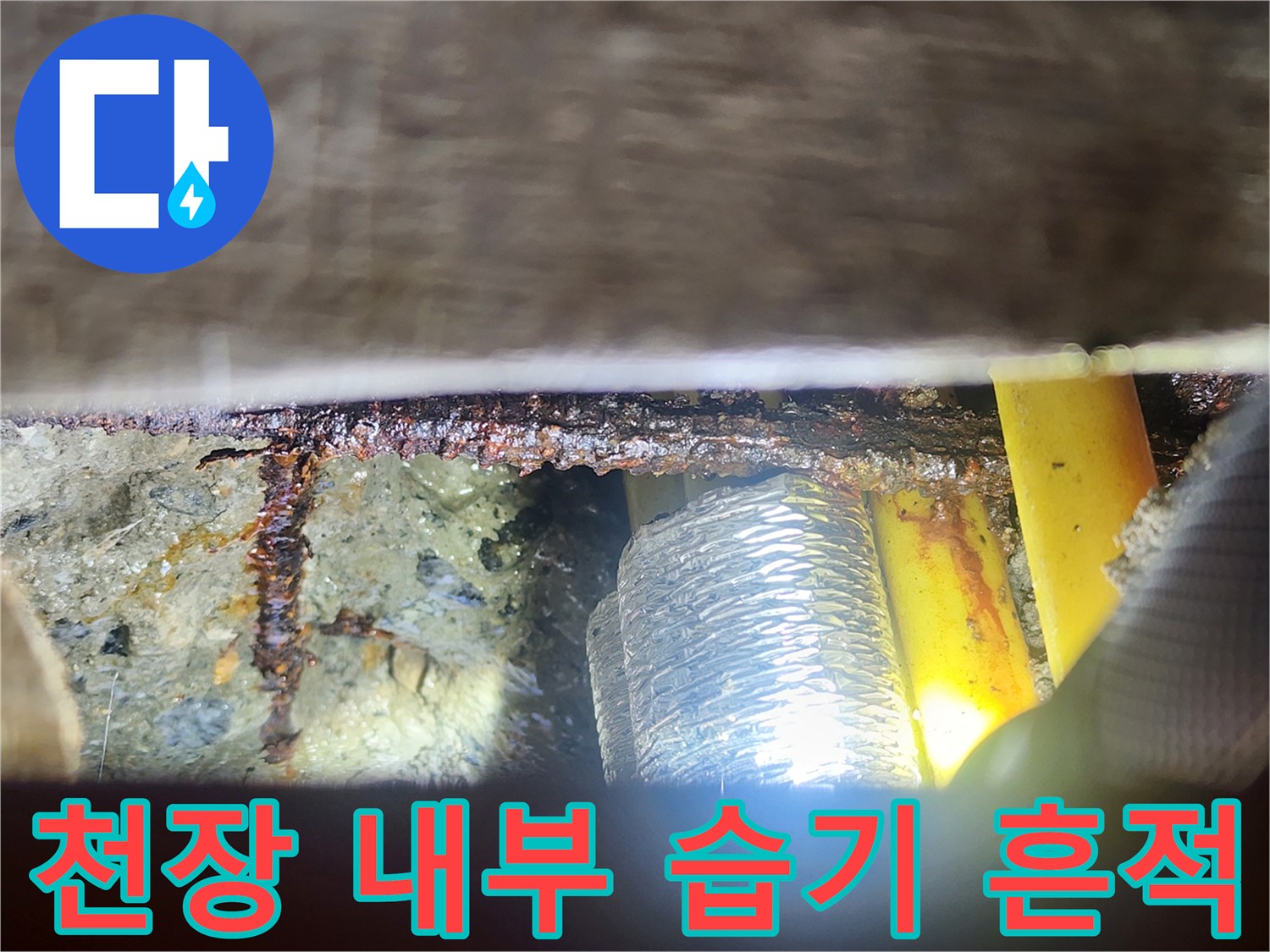 천장-배관-주변의-축축한-오염-및-물기-흔적
