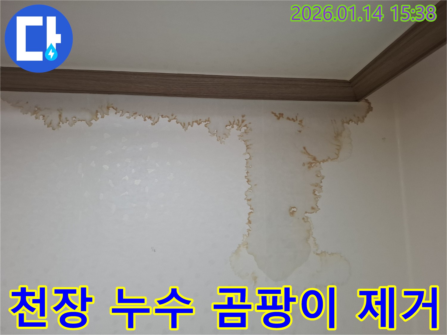 능곡동 천장 누수 현장 - 곰팡이 제거를 위한 전문 누수탐지 및 공사
