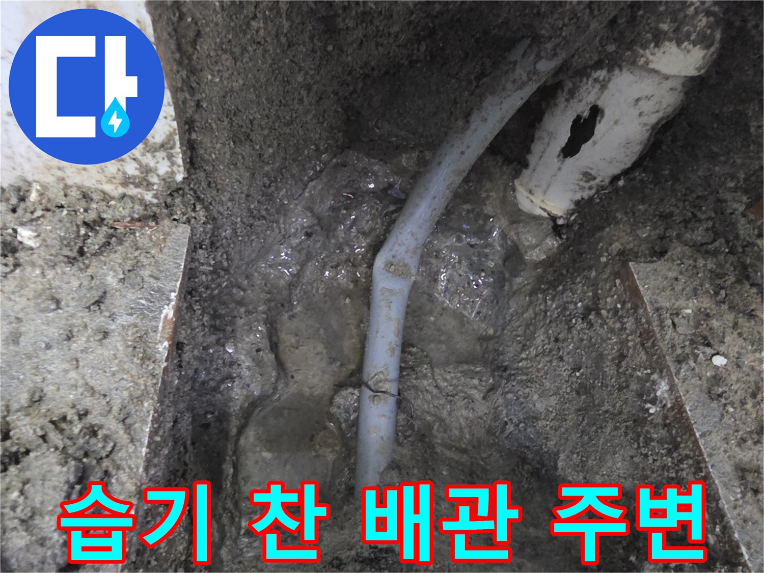 물샘 확인을 위해 흙을 파낸 배관 모습