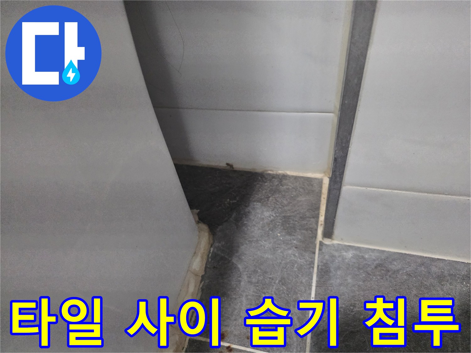 욕실 타일 틈새로 스며든 수분과 어두운 얼룩 현상