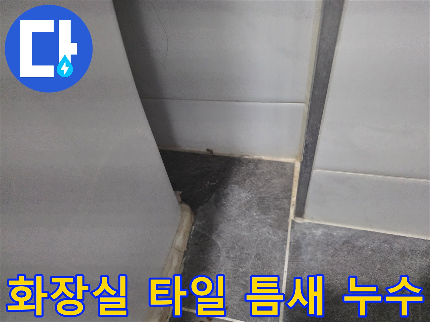 파주 화장실 욕실 타일 사이로 스며든 습기와 물자국 현상