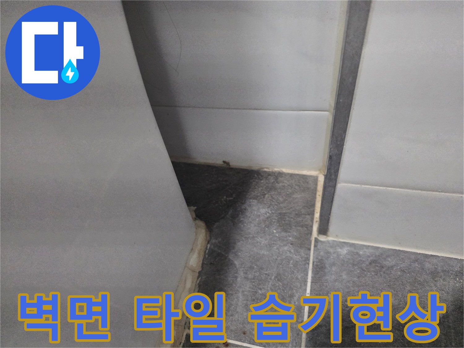 화장실-벽체-타일-하단-습기-침투-모습