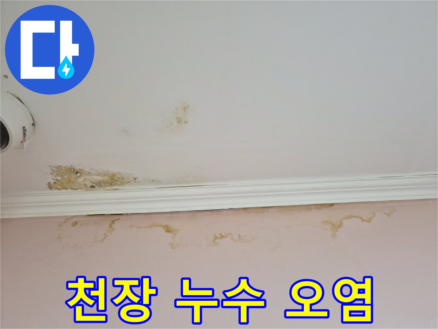 곰팡이와-누수흔적이-남은-천장-몰딩-구역