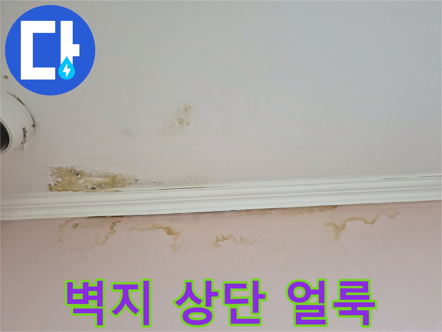 물샘-증상으로-변색된-분홍색-벽지-상단부