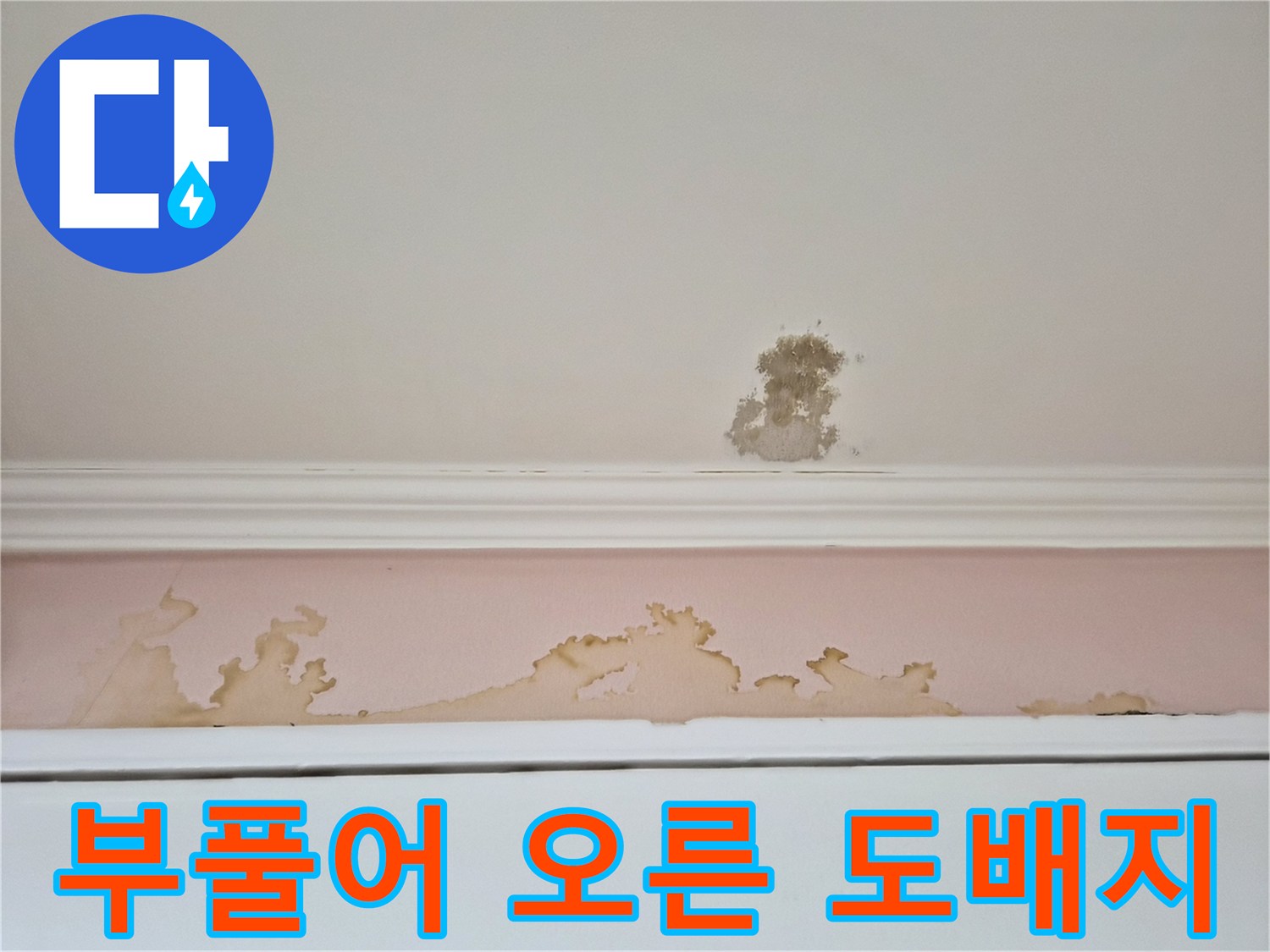 물샘으로 인해 곰팡이가 발생하고 변색된 천장 벽지