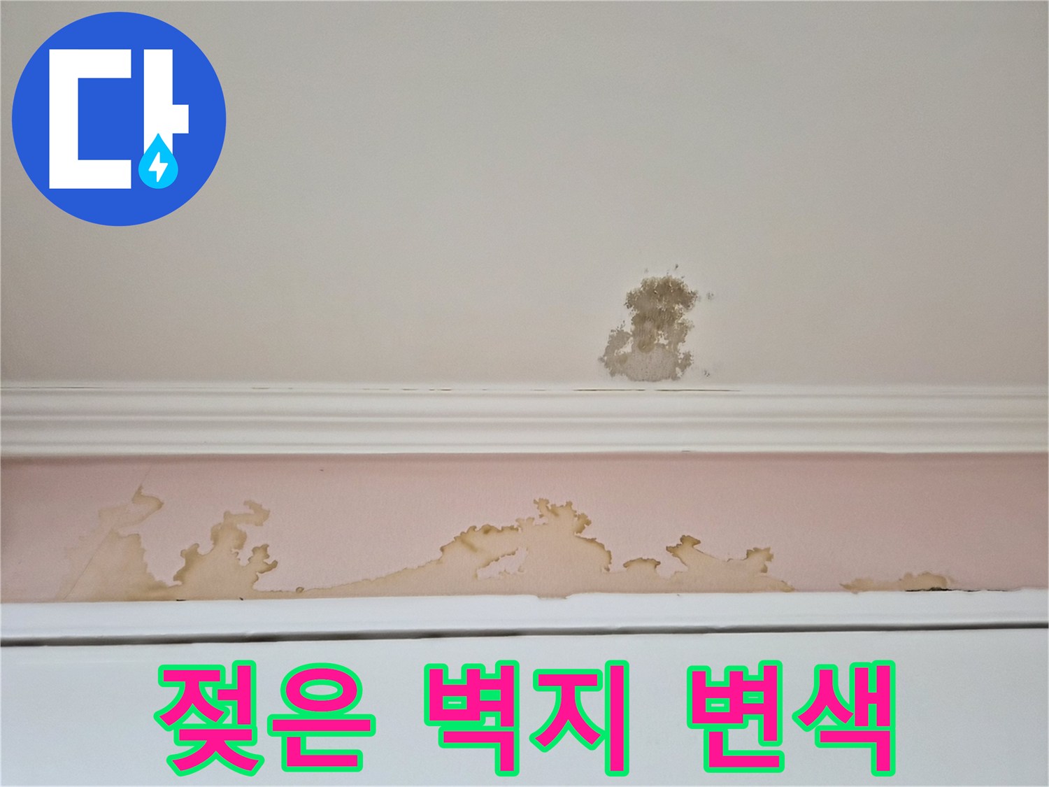 물에 젖어 갈변된 천장 벽지와 몰딩의 결함 부위