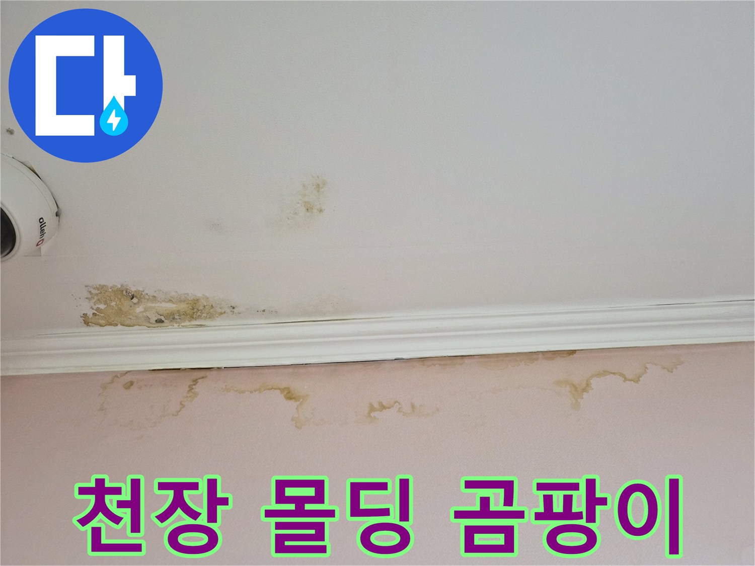 어린이집 천장 몰딩 부근에 발생한 곰팡이와 물자국 현상