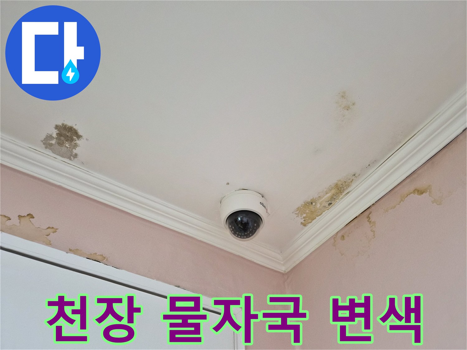 천장-몰딩-부근의-물자국과-곰팡이_흔적
