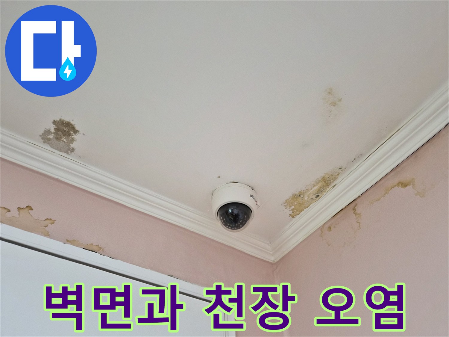 천장-및-벽면-상단부의-누수-흔적과-곰팡이