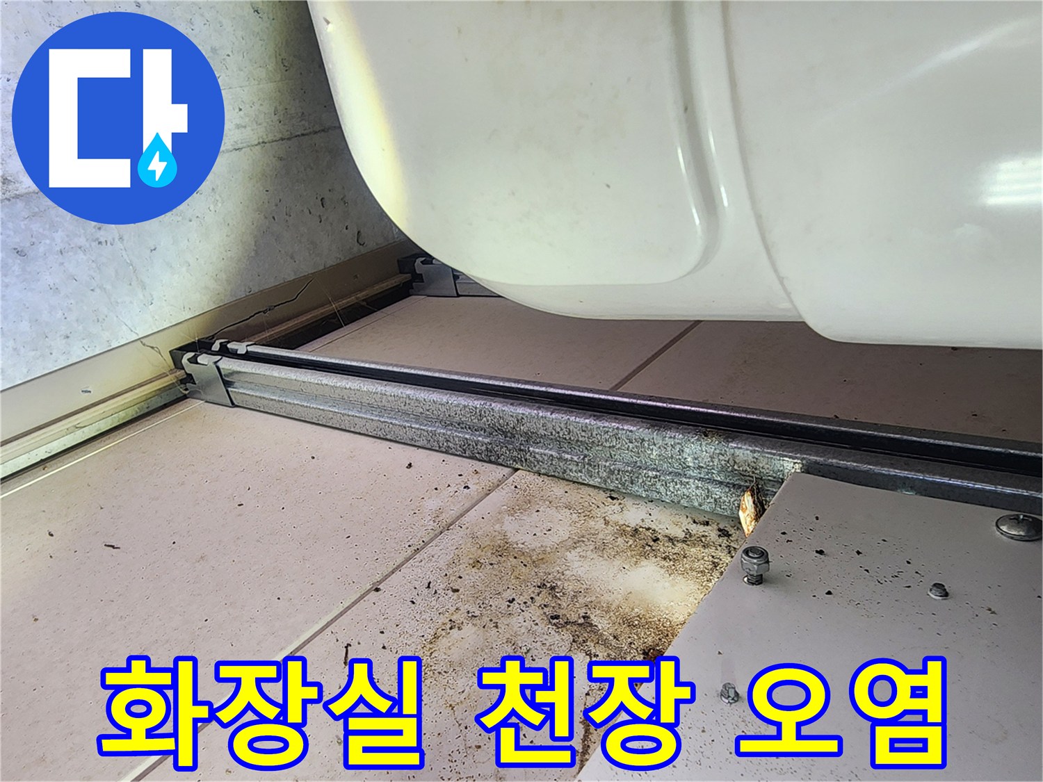 화장실-천장-내부-배관-주변-오염-상태