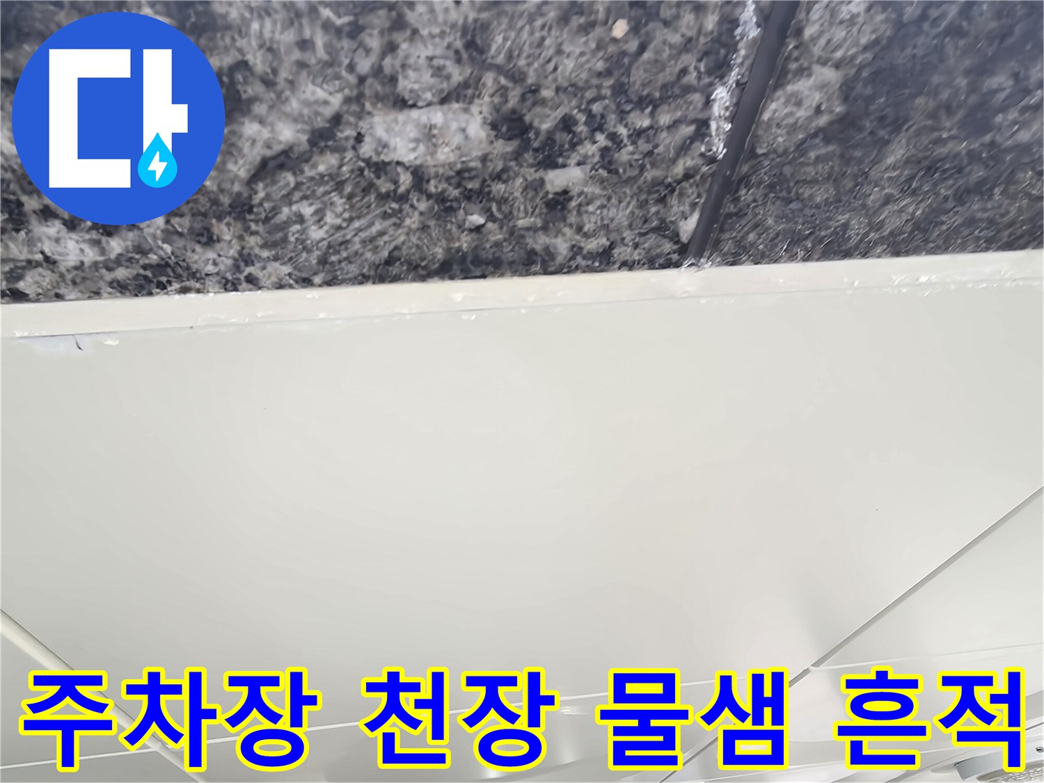 습기로 인해 변색된 주차장 석재 마감재 부위
