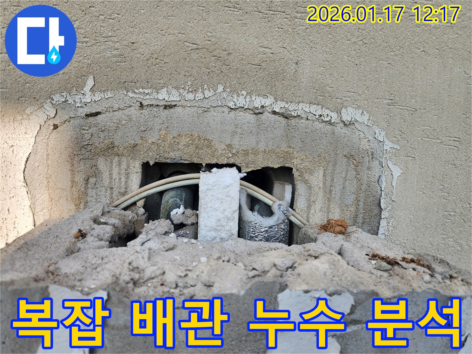 문산 누수 현장 - 복잡한 배관 구조 속에서 숨겨진 누수 원인을 분석하는 모습