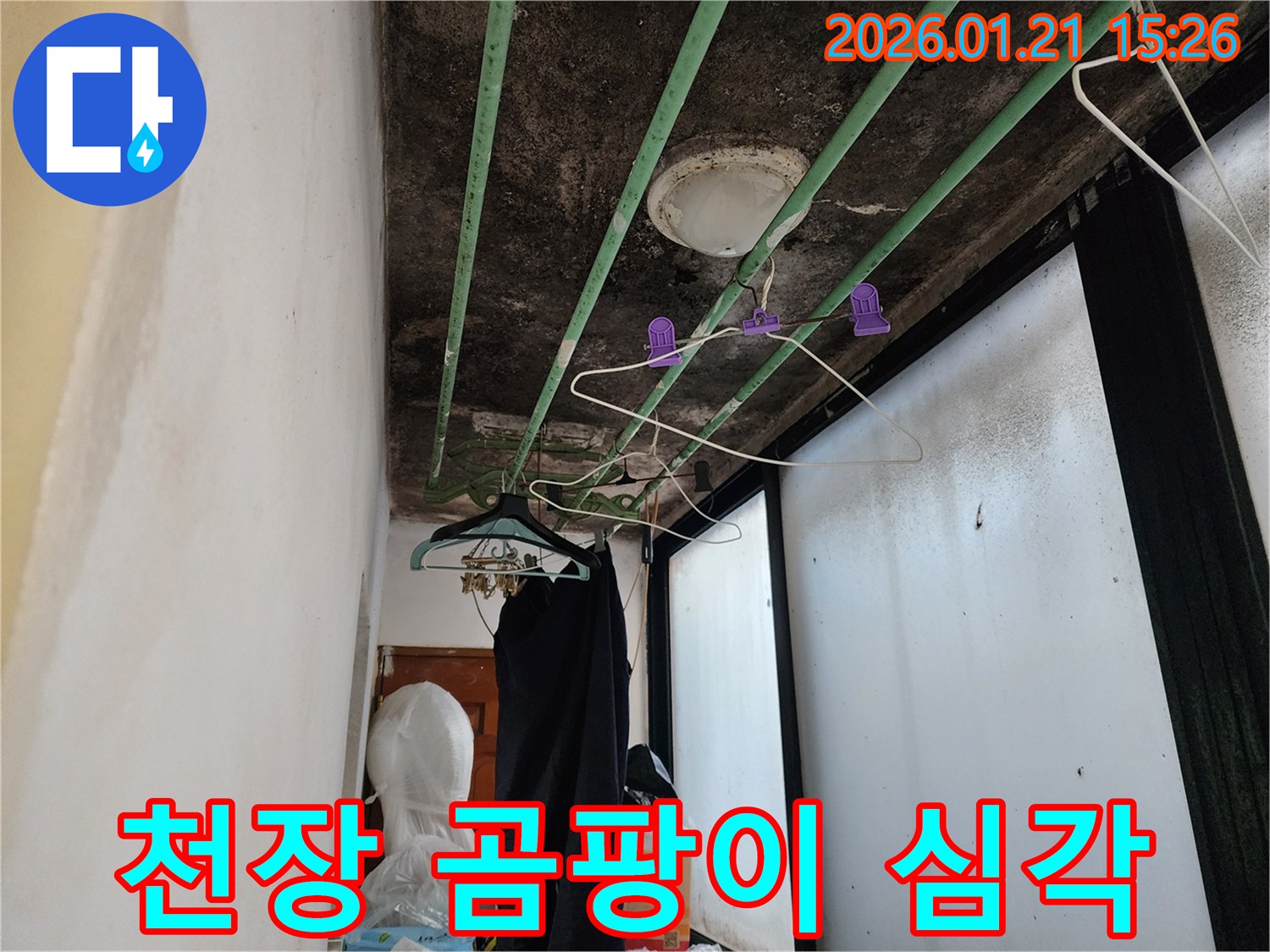 마포구 성암로 누수 현장-천장에 심각하게 발생한 곰팡이와 습기
