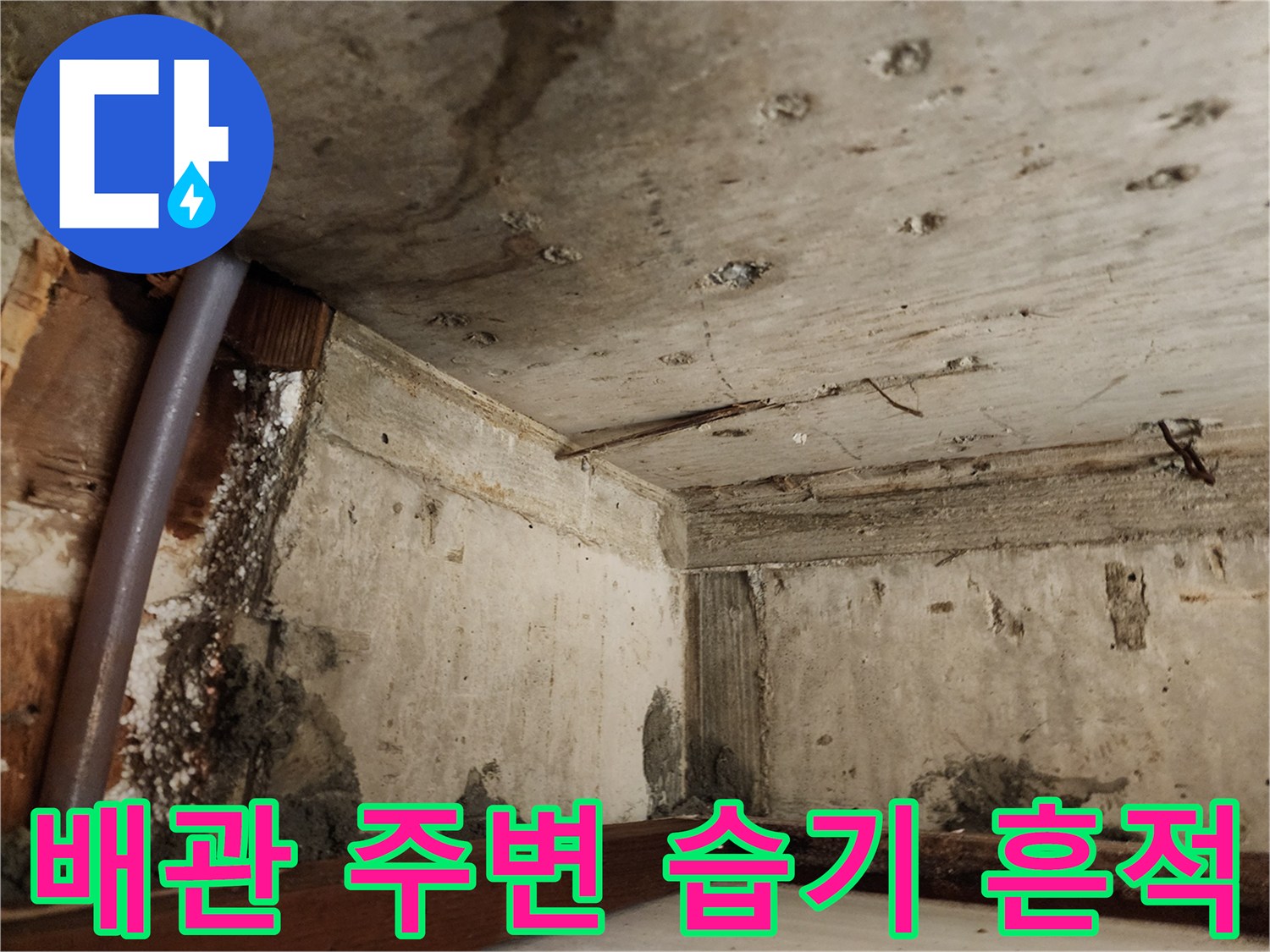 천장 내부 현장-습기로 인해 얼룩진 벽면과 노출 배관
