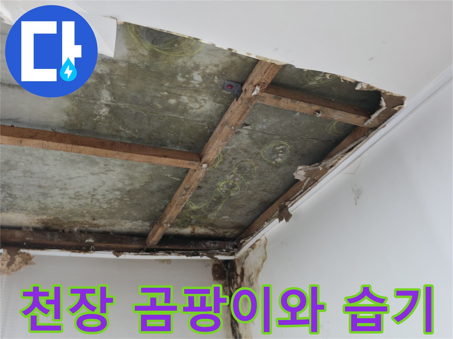 아파트 천장 내부의 곰팡이와 습기가 가득한 모습
